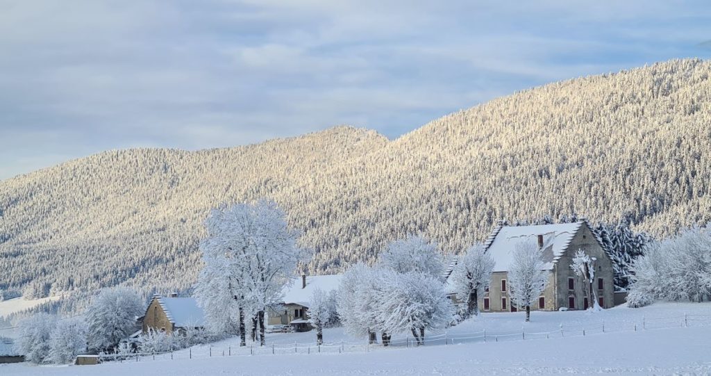 paysage neige Autrans forêt