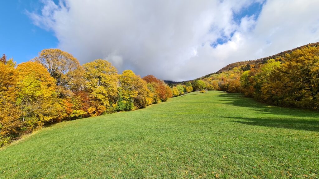 Photo de champ en Chartreuse l'automne