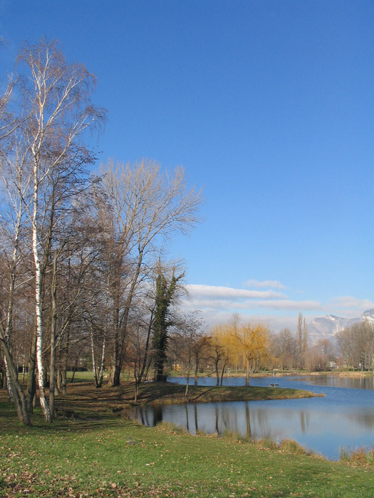 parc ovalie automne