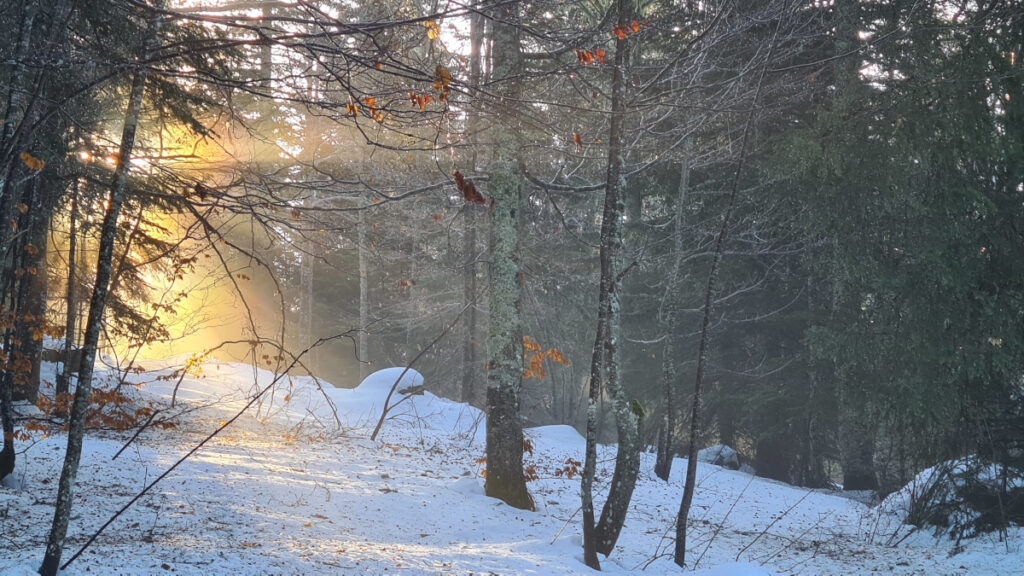 route de la grande brèche neige rayon soleil autrans