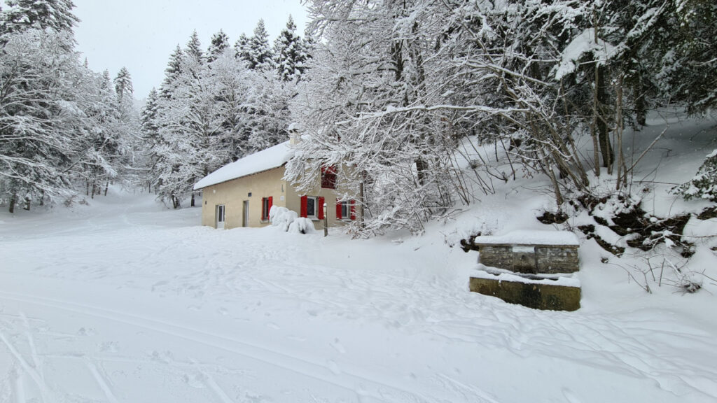 barraque des feuilles